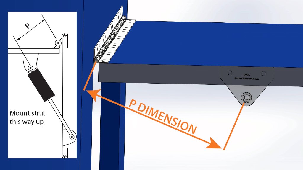 How to find the P dimension